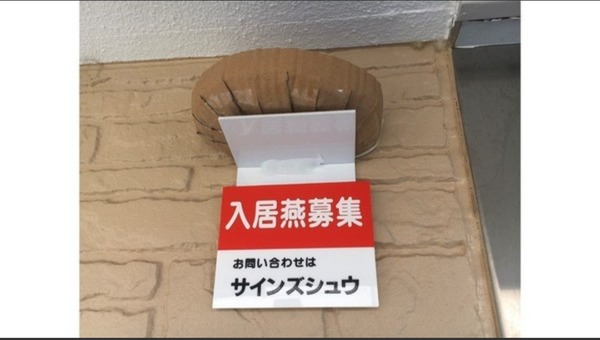 心穏やかになる名言教えてください！