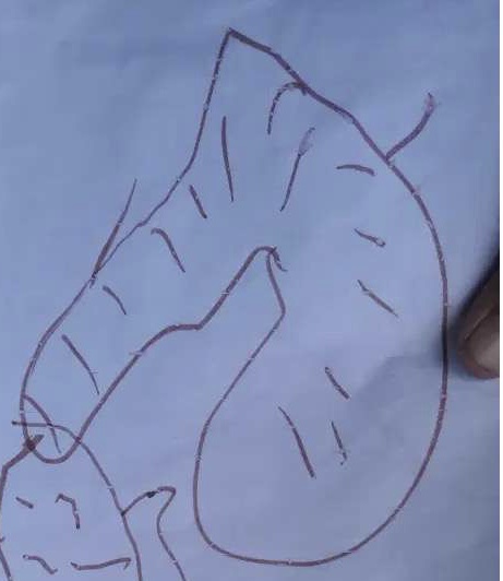 4歳児が描いたオリンピック選手の絵、Facebookに投稿も「成人向け」と削除される（英）