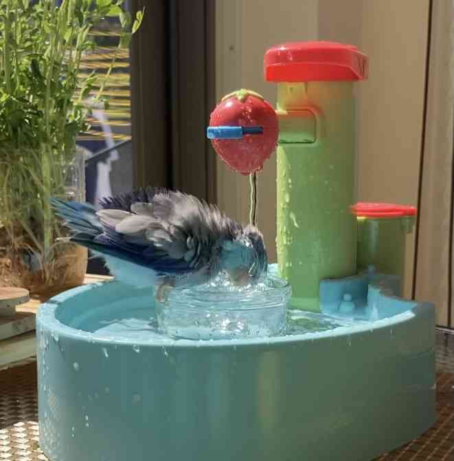 意外に使えるなと思う再利用品