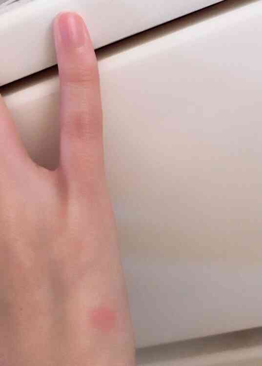 穏やかに集まる夏の終わりの雑談トピ