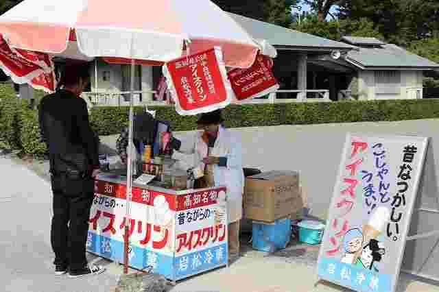 ご当地アイスのおすすめが知りたい