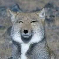 オリラジ藤森、EXIT兼近に「もらったカバンを捨てたい」と告げられ感動