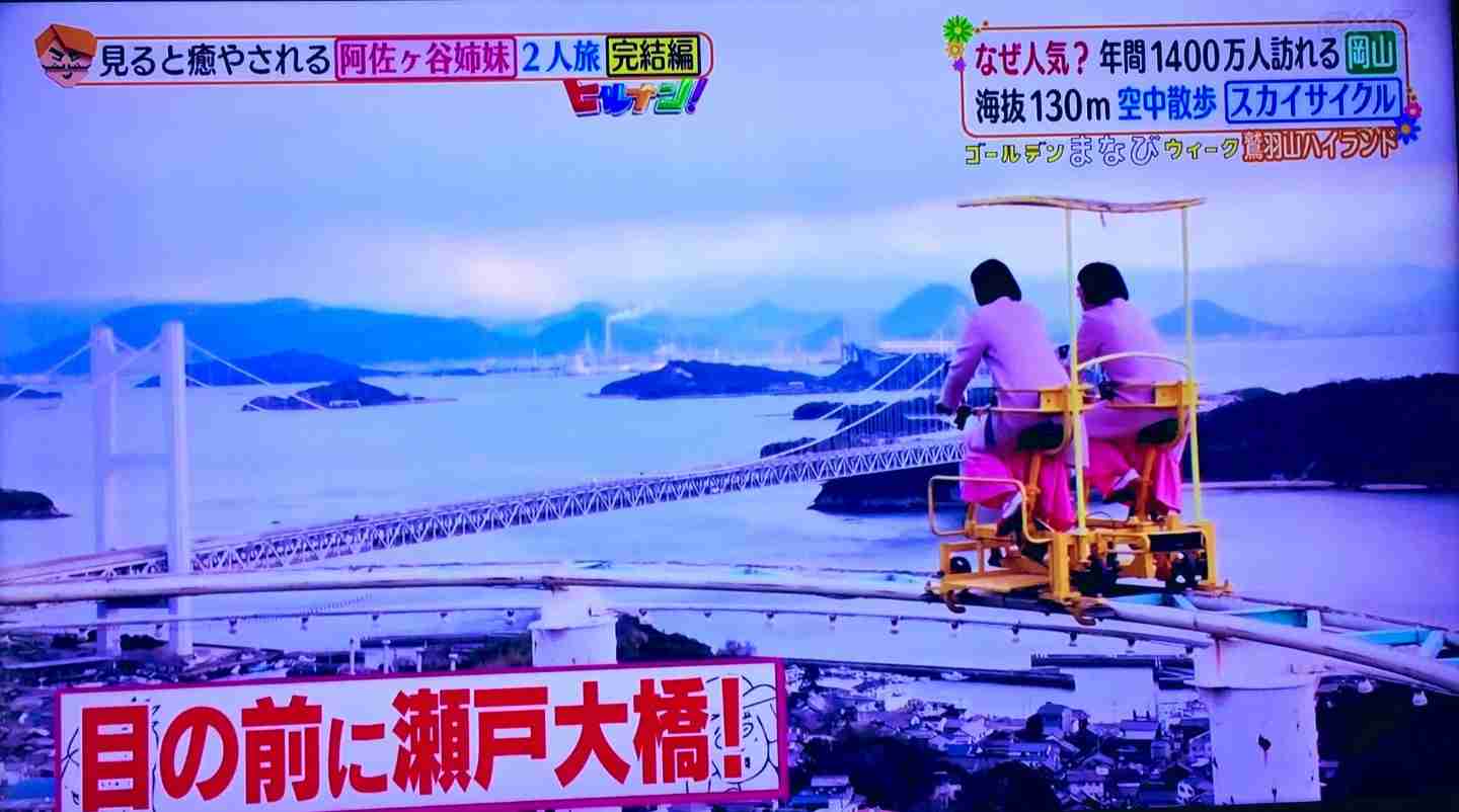 高所恐怖症でも乗れるアトラクション