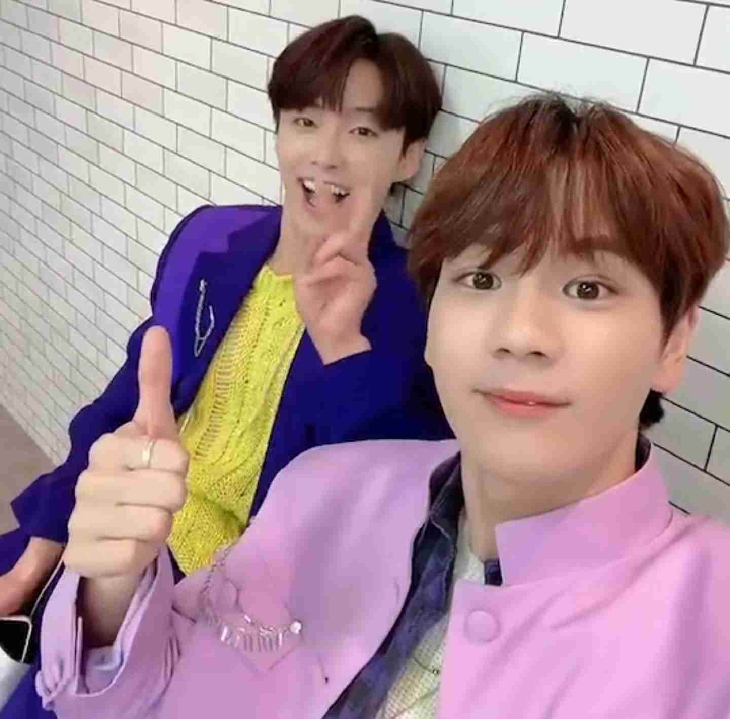 一気見した番組