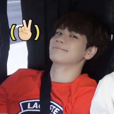 一気見した番組