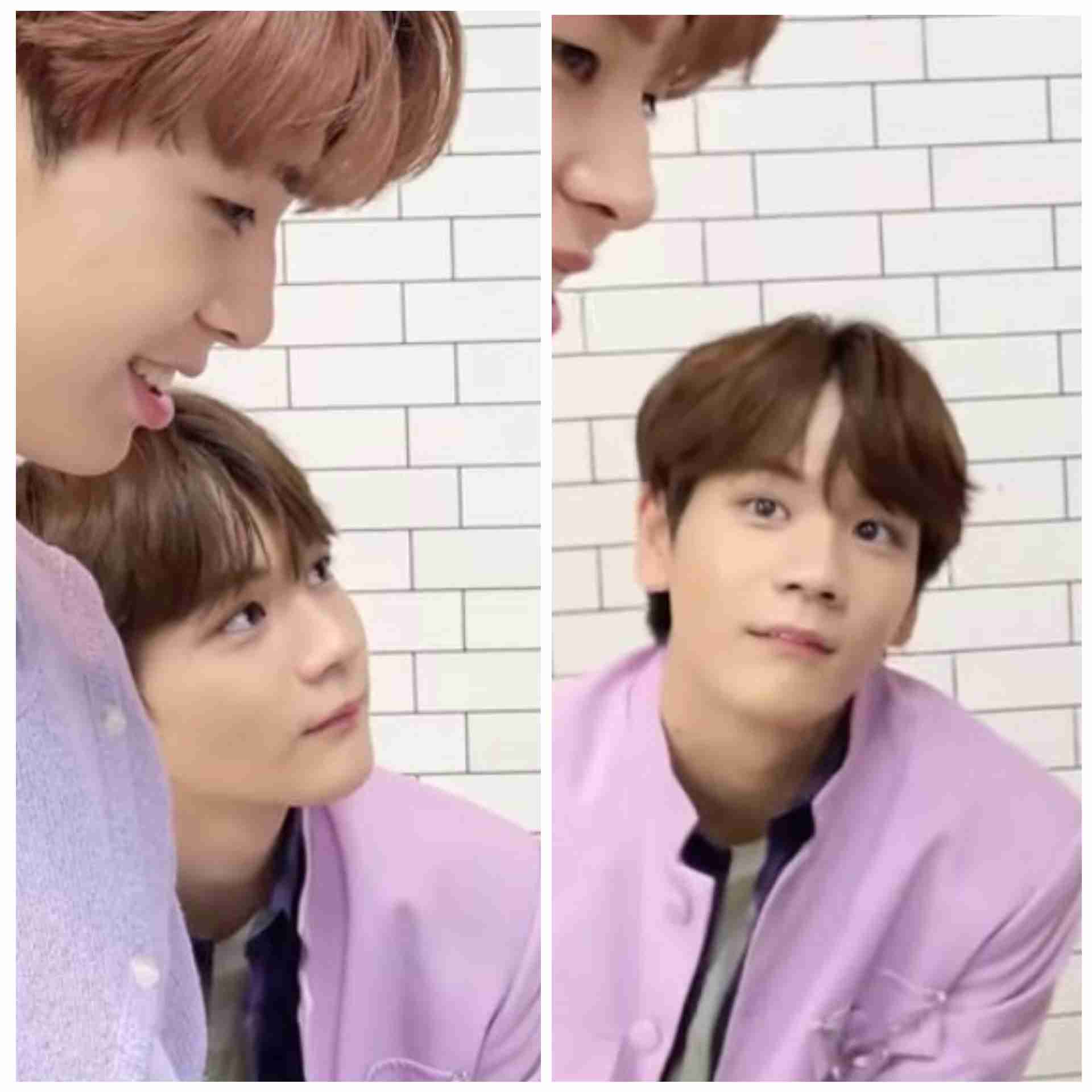 一気見した番組