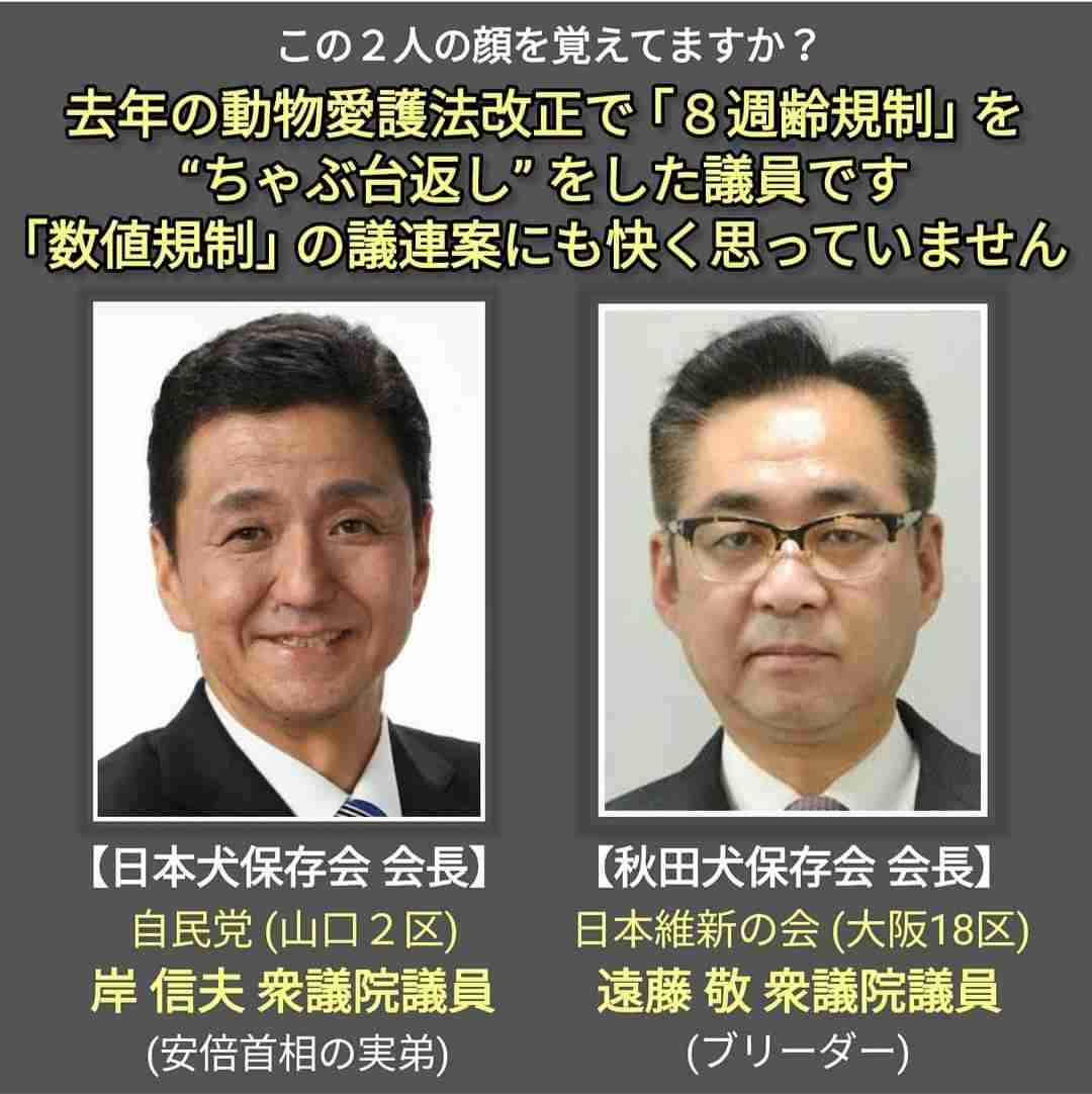 岸信夫・防衛相「歩行に支障」の健康問題浮上　よぎる兄のトラウマ