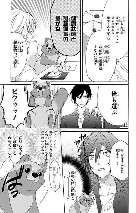 動物マンガ
