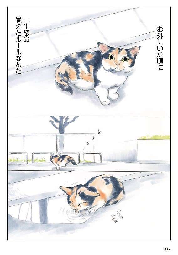 動物マンガ