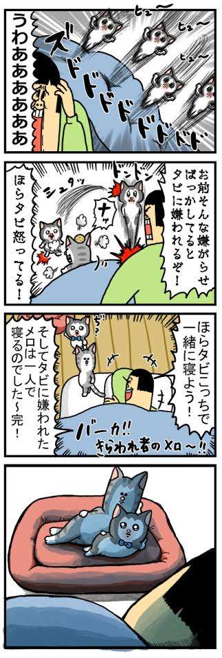 動物マンガ