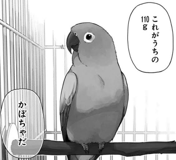 動物マンガ