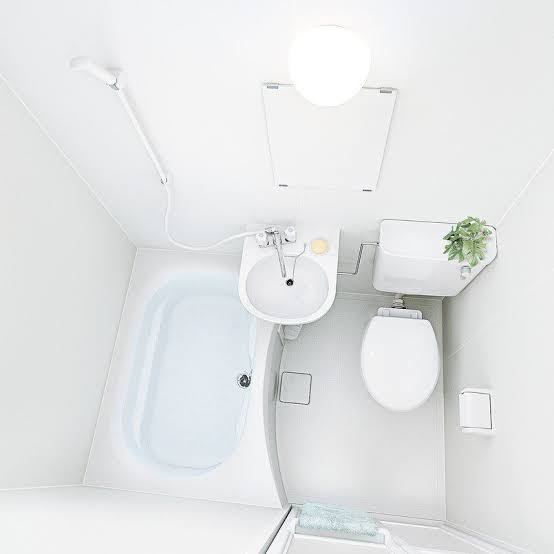 トイレに「スリッパ」は必要? 2000人調査 洋式普及で不要派増か、専門家の見解は