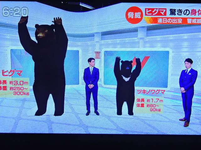 巨大ヒグマ襲撃か 顔などに複数の傷…女性2人搬送