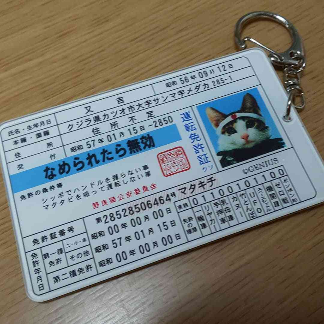 運転免許更新あるある