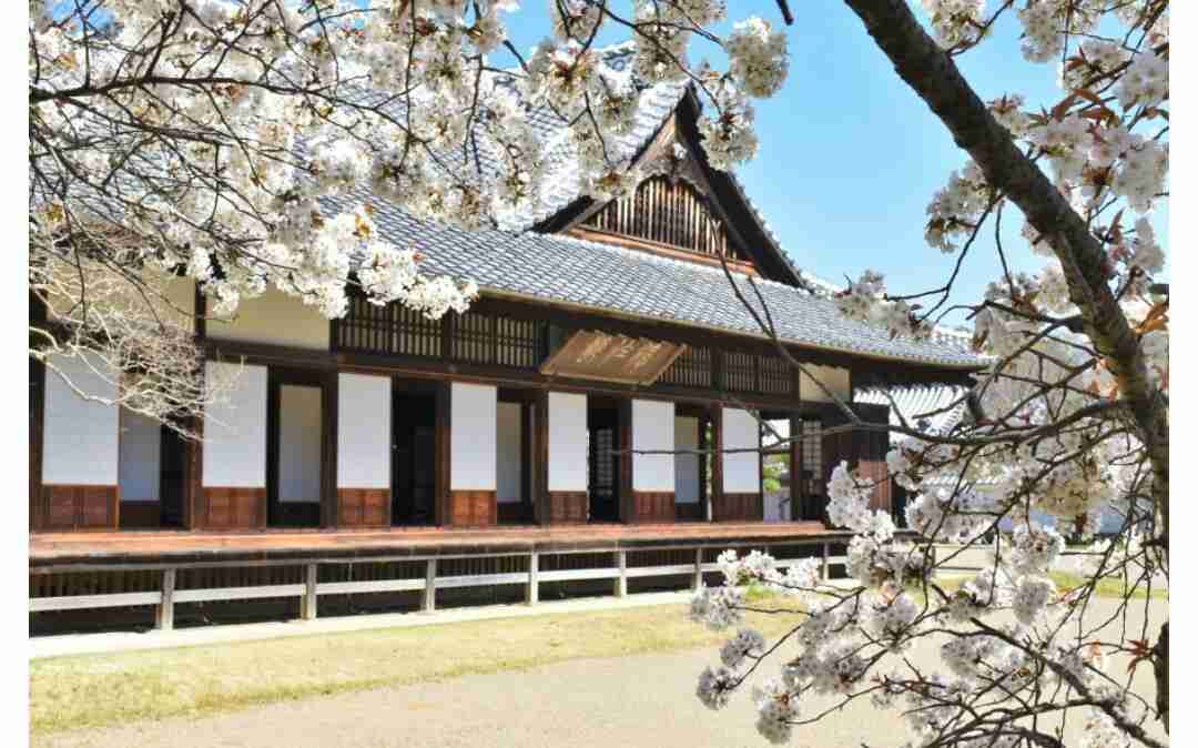 【江戸幕府第15代征夷大将軍】徳川慶喜ってどんな人？