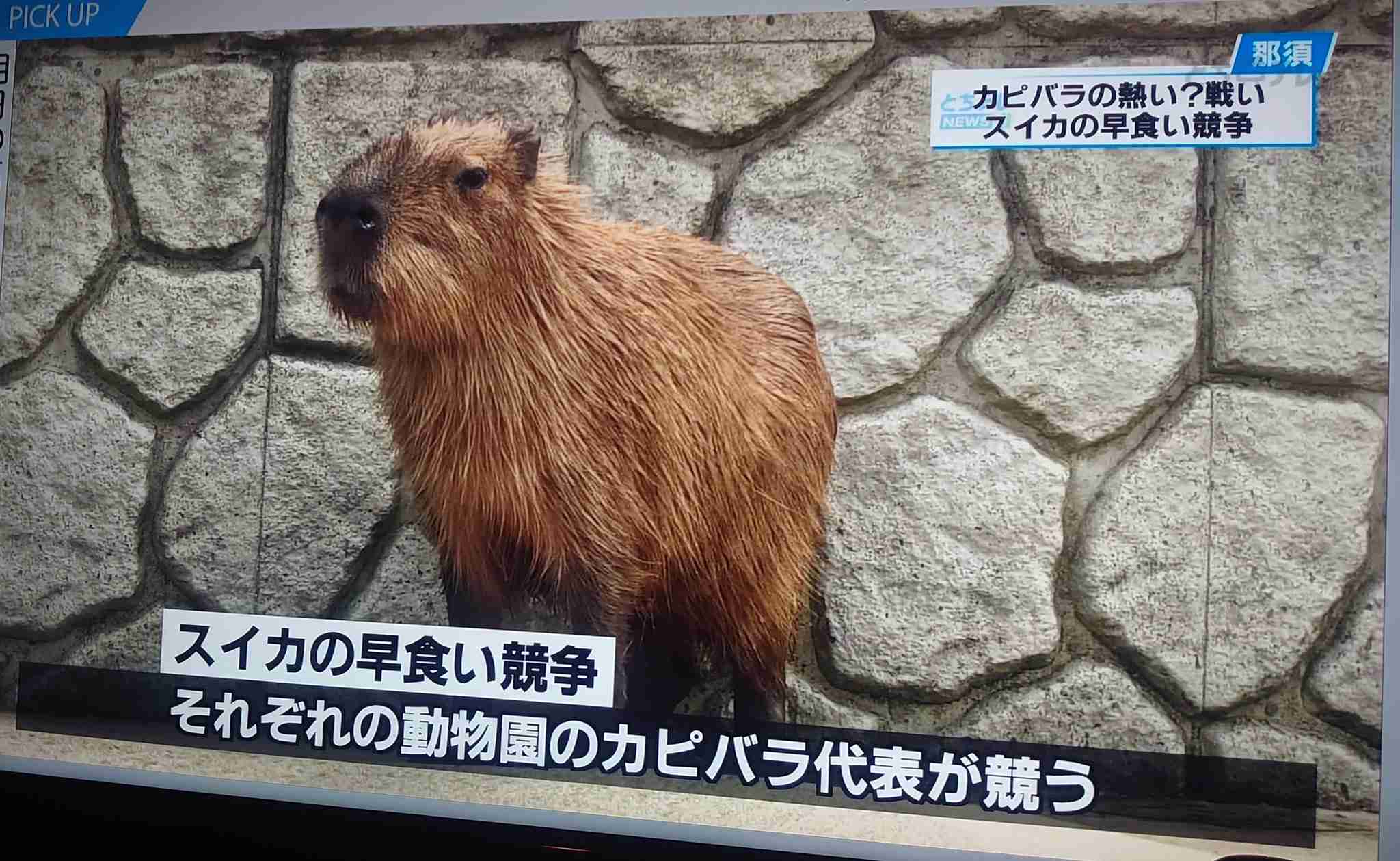 なぜネット上で他人に嫉妬するのか