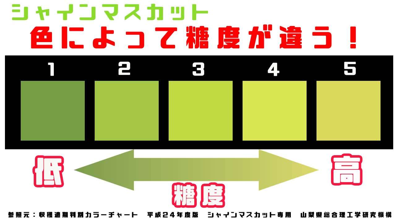 がるみんにお得な情報