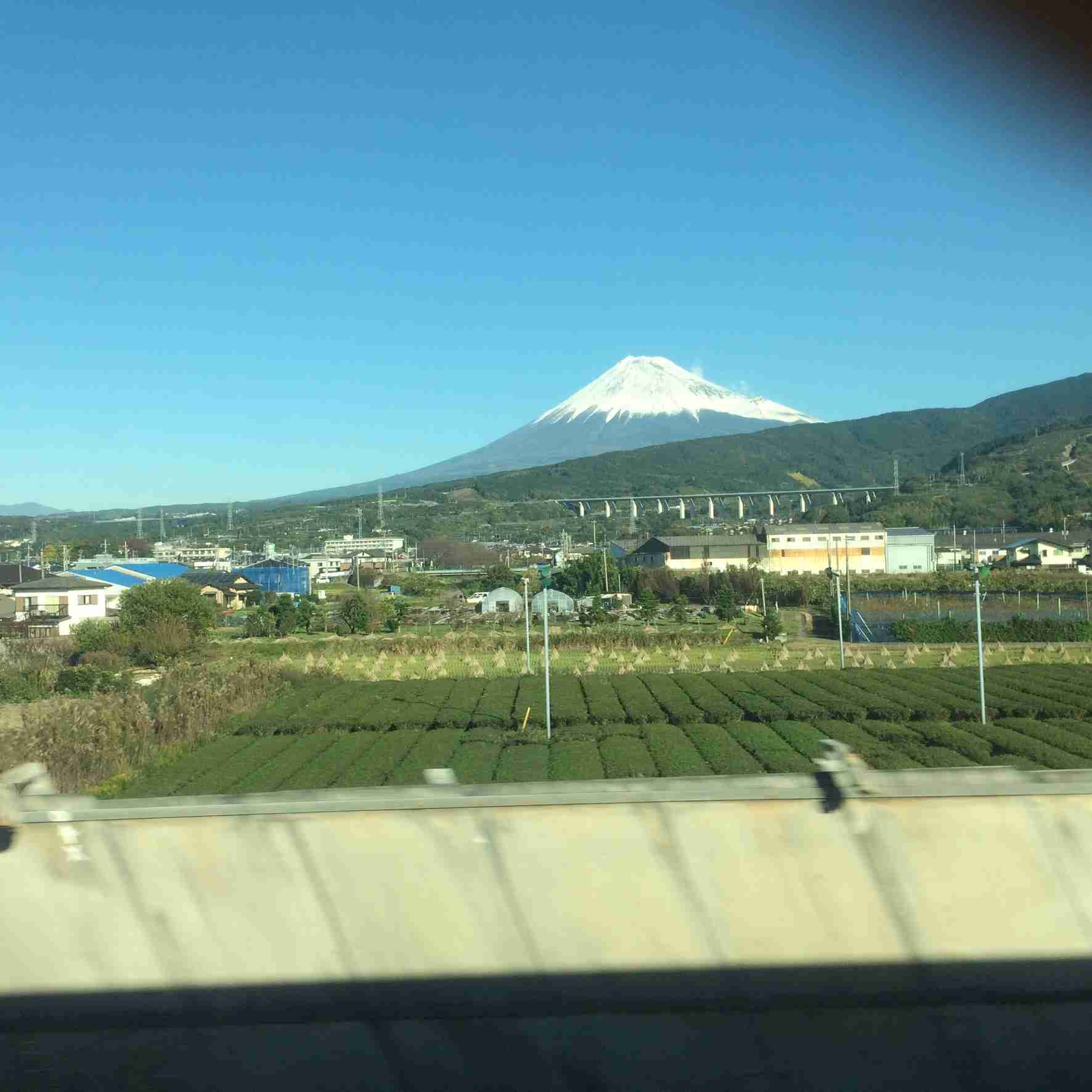 色んな富士山　イラストや絵画もOK