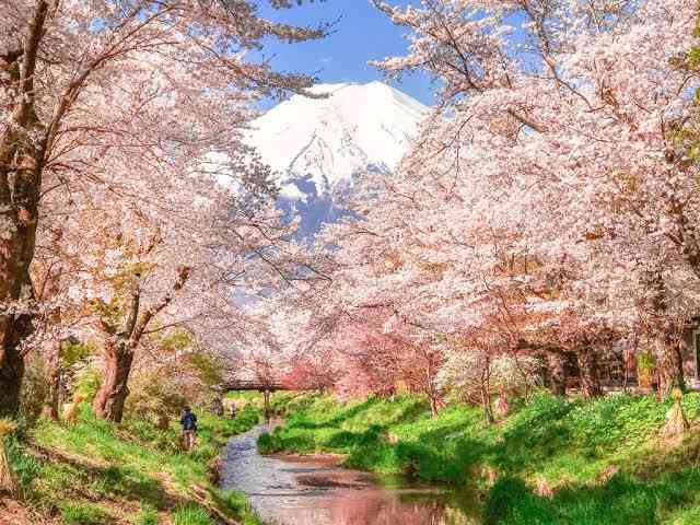 色んな富士山　イラストや絵画もOK