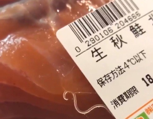 【人間以外で】この生物には生まれ変わりたくない！