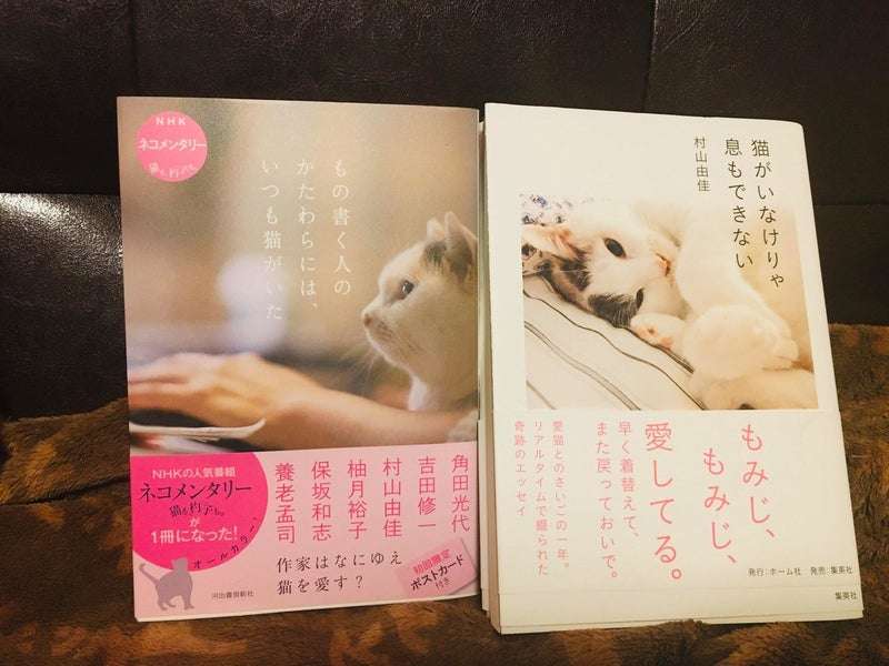 ペットとの意思疎通で1番凄かったこと