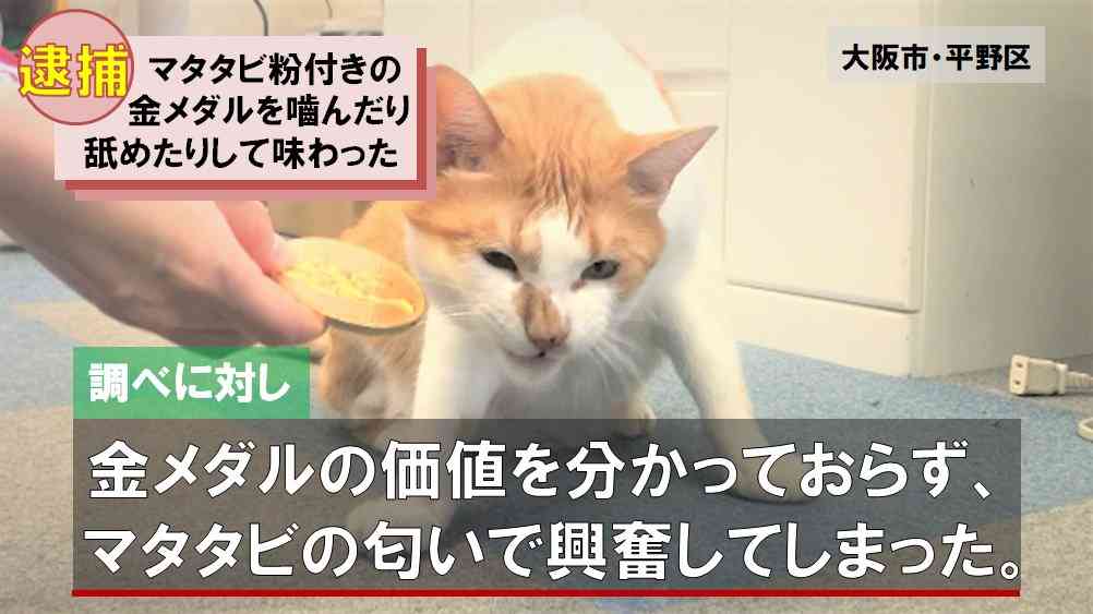 金メダル噛み給与返上…名古屋市長「給料3カ月分ゼロに。大いに自戒したい」時期は議会等の手続き経て決定
