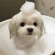 【お風呂】入浴は身体にいい?【健康】