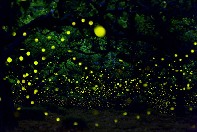夜景の画像を観ながら夜を過ごすトピpart2