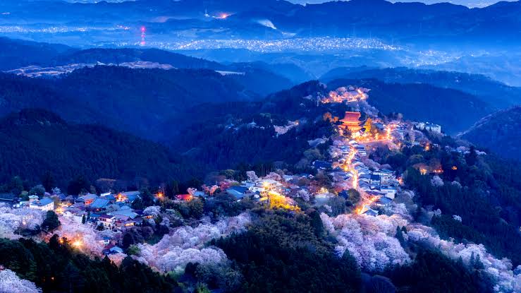 夜景の画像を観ながら夜を過ごすトピpart2