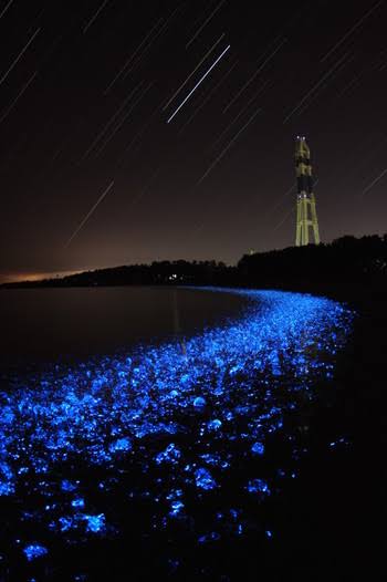 夜景の画像を観ながら夜を過ごすトピpart2