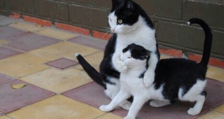 自分の気持ちを抑え込む人