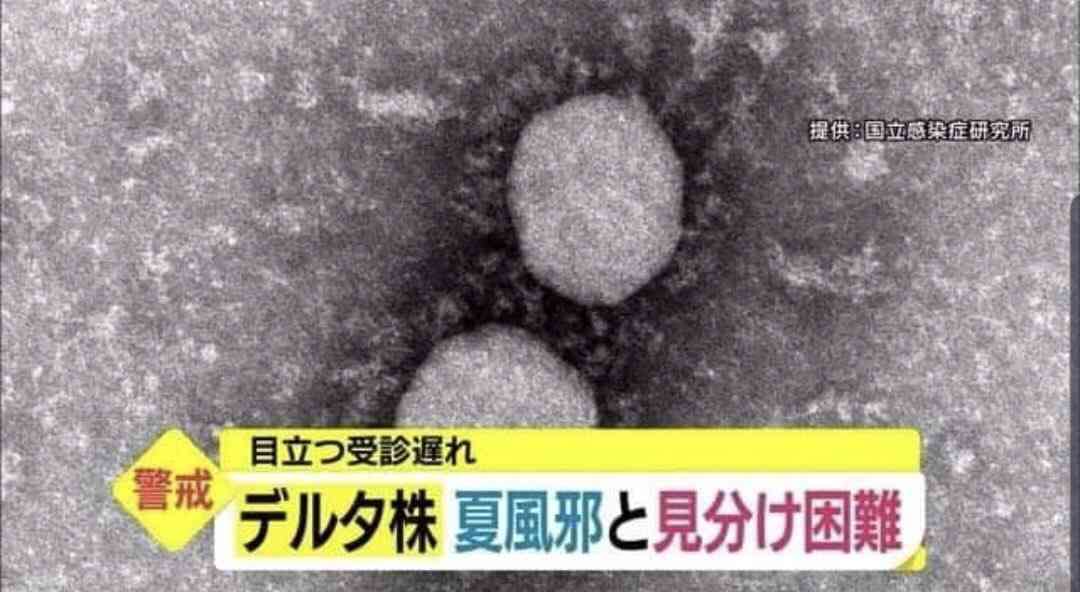 《ワクチン接種後の死亡746例》を徹底分析、“基礎疾患・常用薬・死因”の結果に愕然