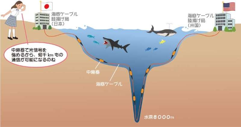 「Wi-Fiってなに？」日本人の大多数が、意外と理解してない問題