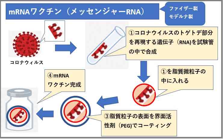 ワクチン2回接種の28人感染　栃木の高齢者施設でクラスター