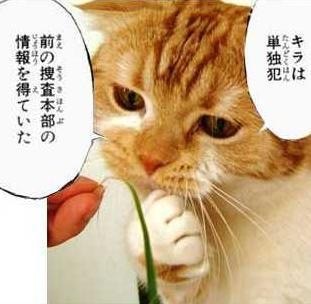 2時間サスペンスあるある！