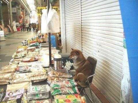 逆に予定がないとダメな人