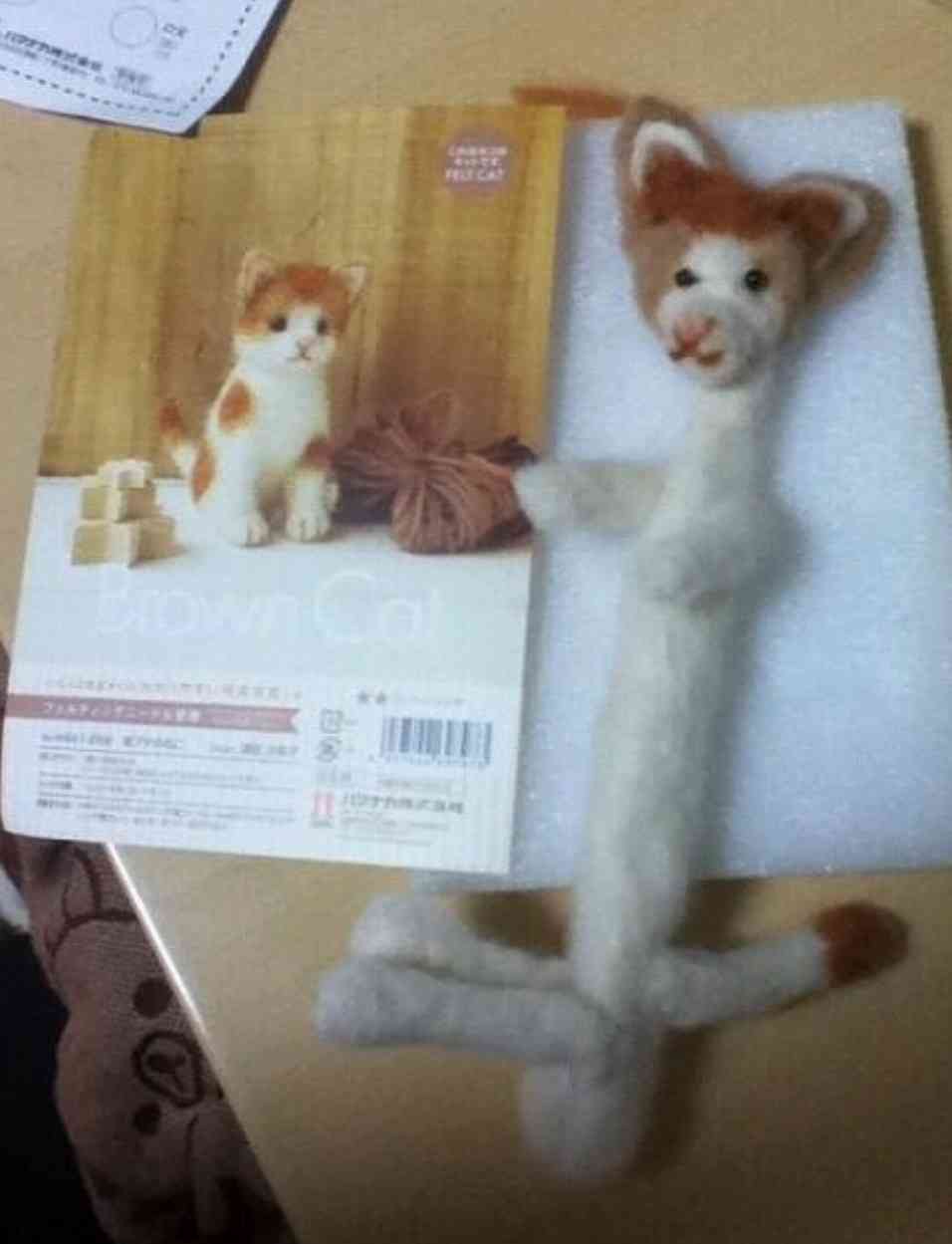 【画像】私たちが猫と考えるものの実体はほぼ毛なのかもしれない説