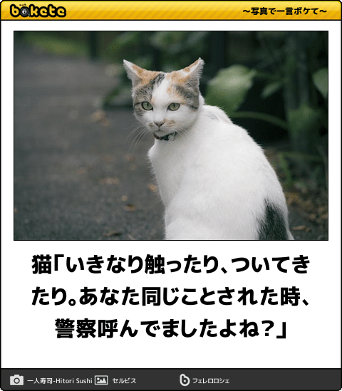 【画像】私たちが猫と考えるものの実体はほぼ毛なのかもしれない説