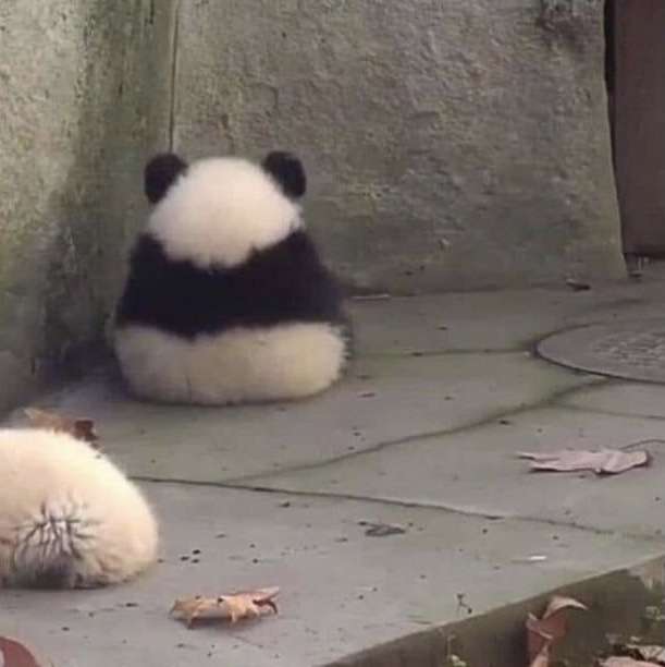 おにぎり画像を貼ろう！！