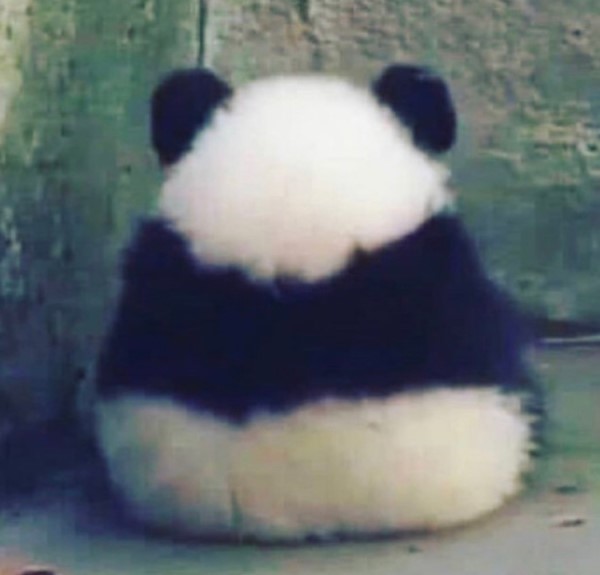 おにぎり画像を貼ろう！！