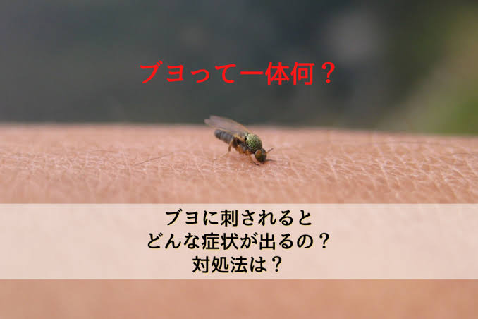 アウトドアの素朴な疑問