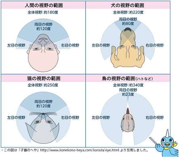 視野が狭くて想像力がない