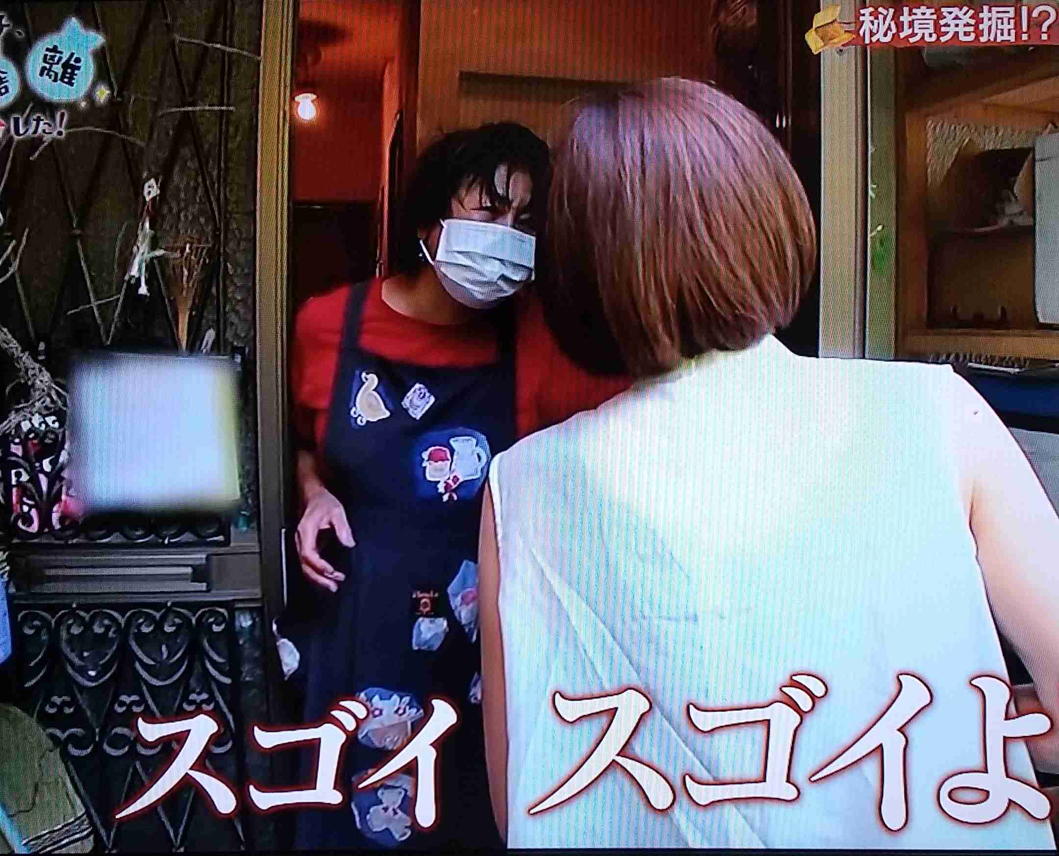 「ウチ、“断捨離”しました!」で記憶に残ってる回