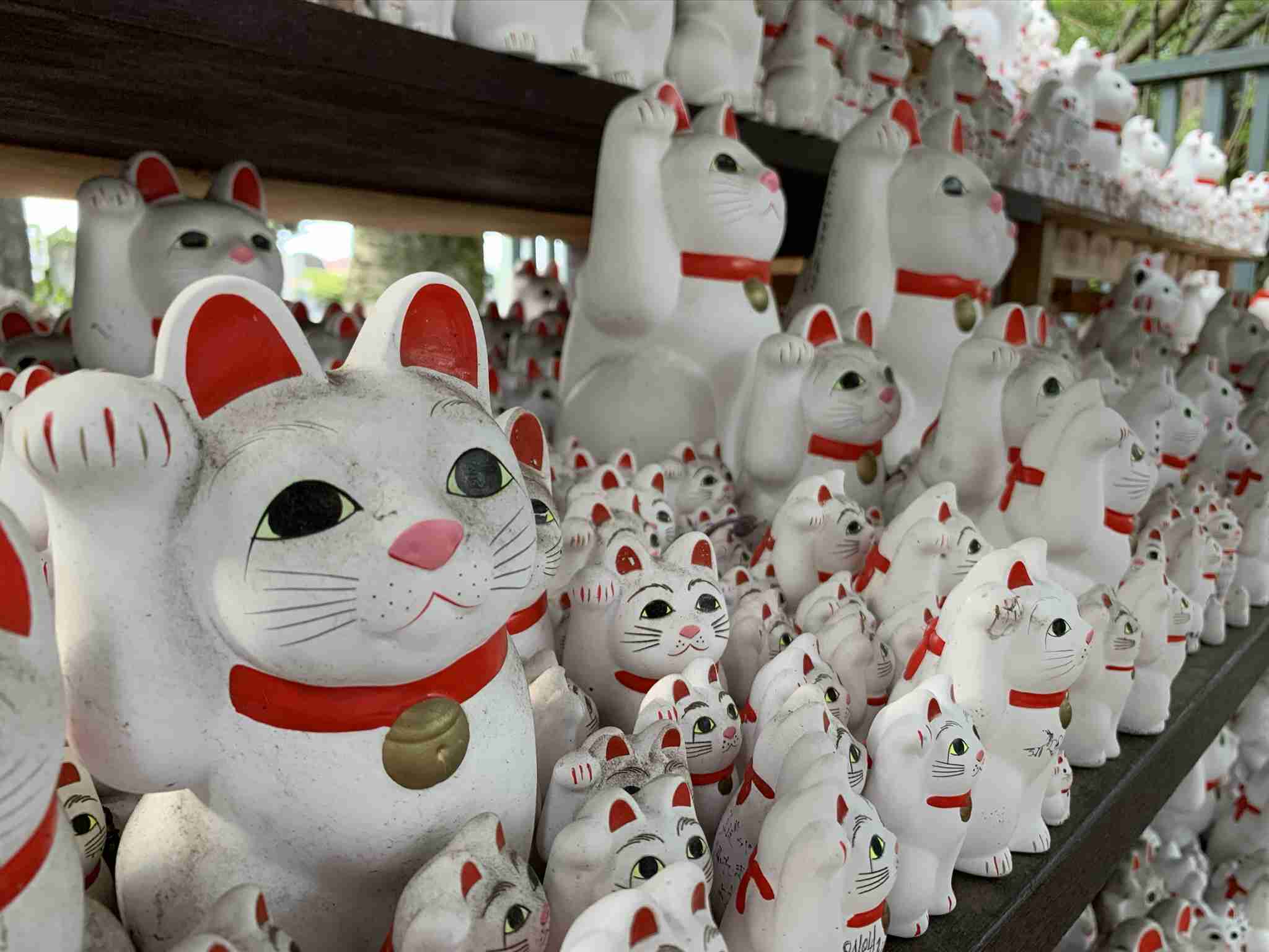 【閲覧注意!】集合体恐怖症は覗いちゃダメなトピックpart2