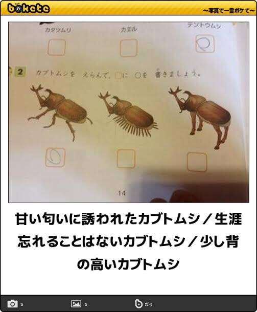 【閲覧注意!】集合体恐怖症は覗いちゃダメなトピックpart2