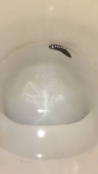 毎日トイレ掃除してる人