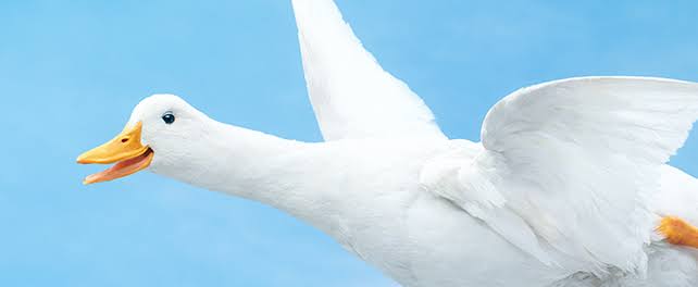 一人暮らしを始めるタイミング