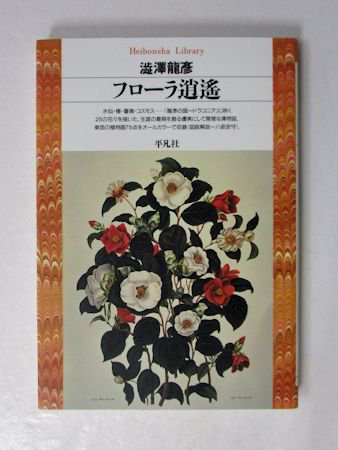 表紙が素敵なデザインの本