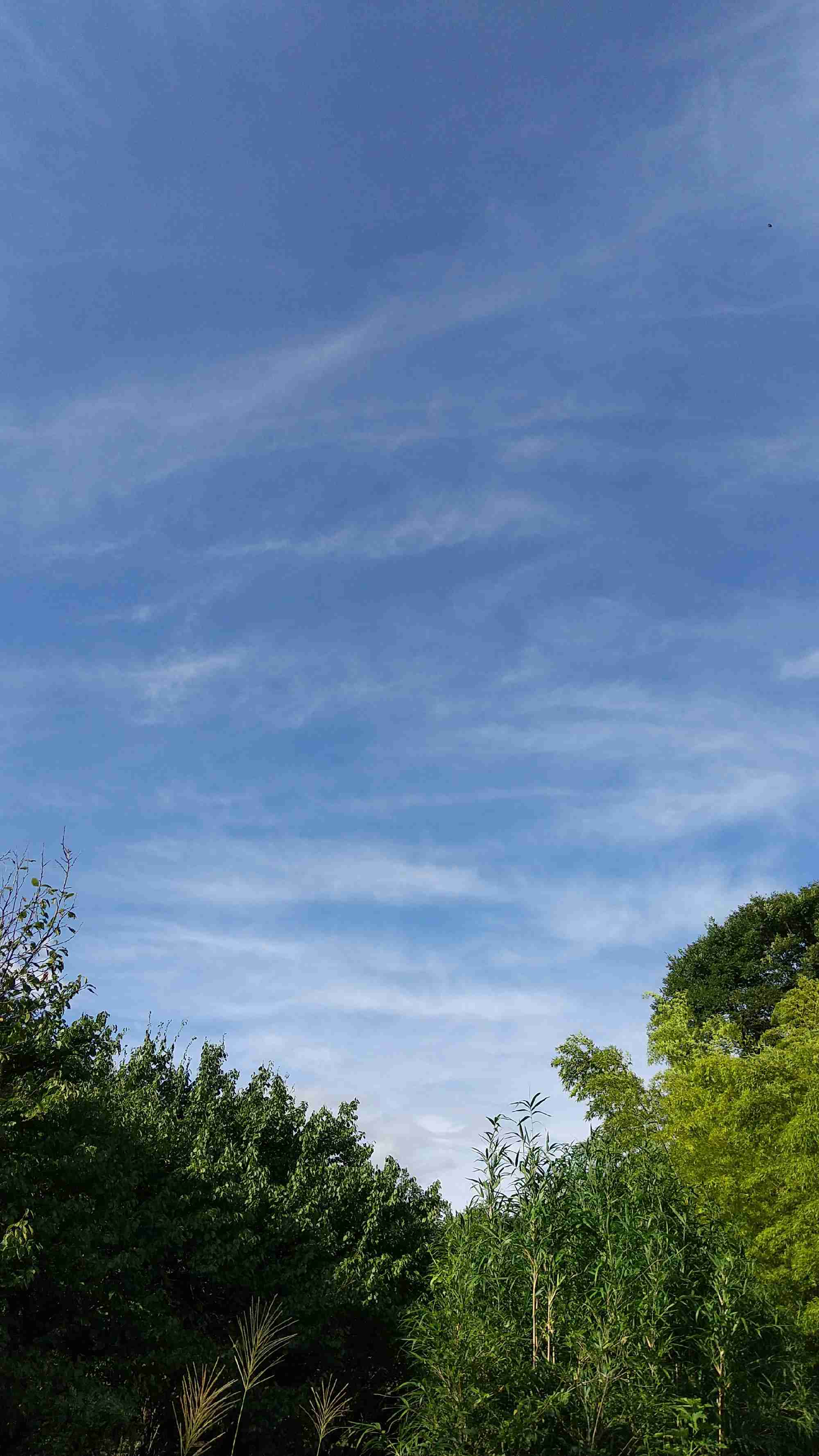 いまそら【空】