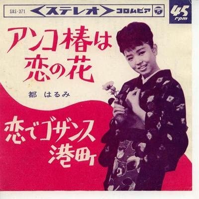 あんこ好きの親に手作りおすすめ